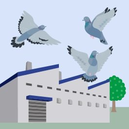 pigeon-factory